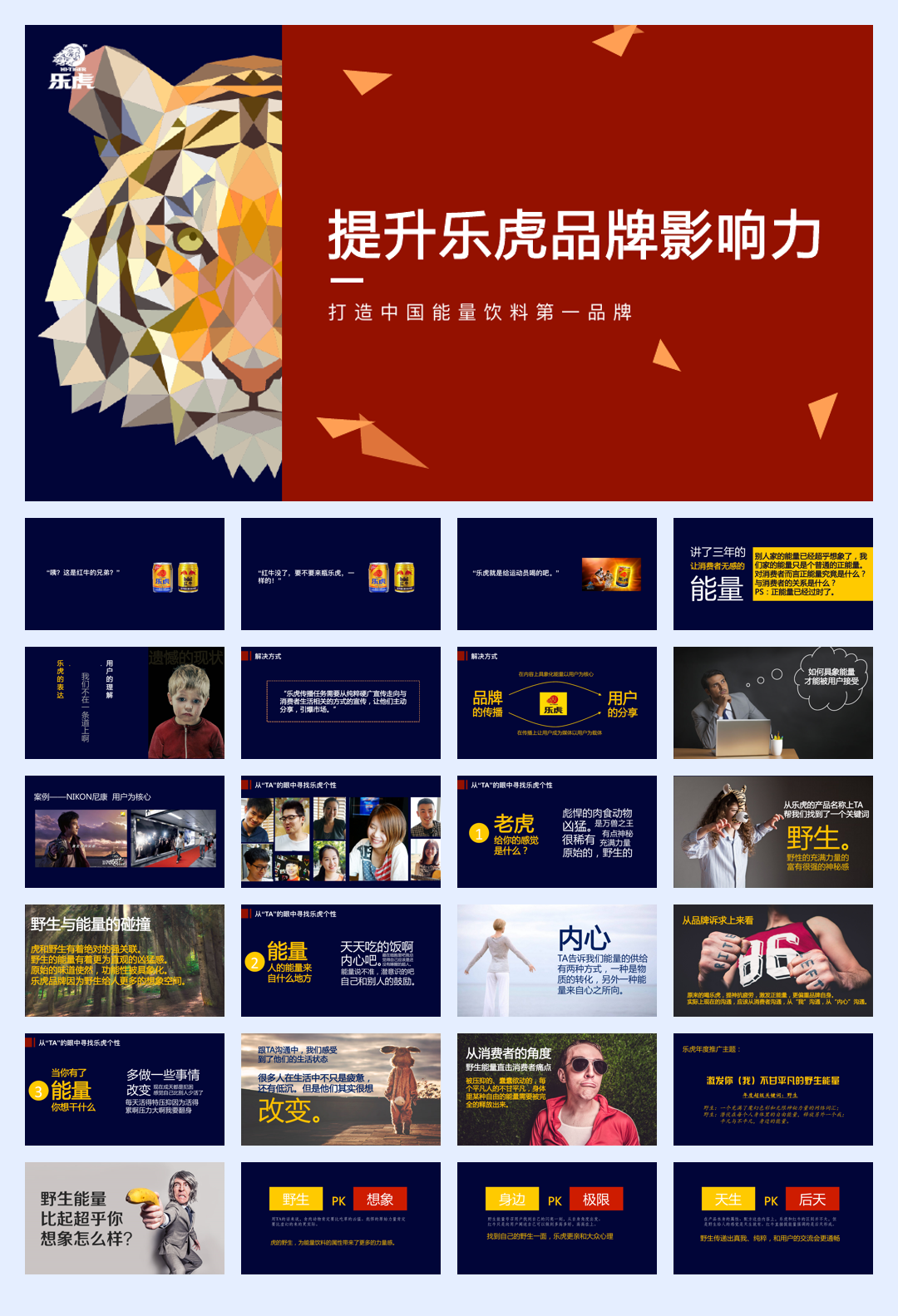 乐虎饮料品牌传播规划方案.pdf