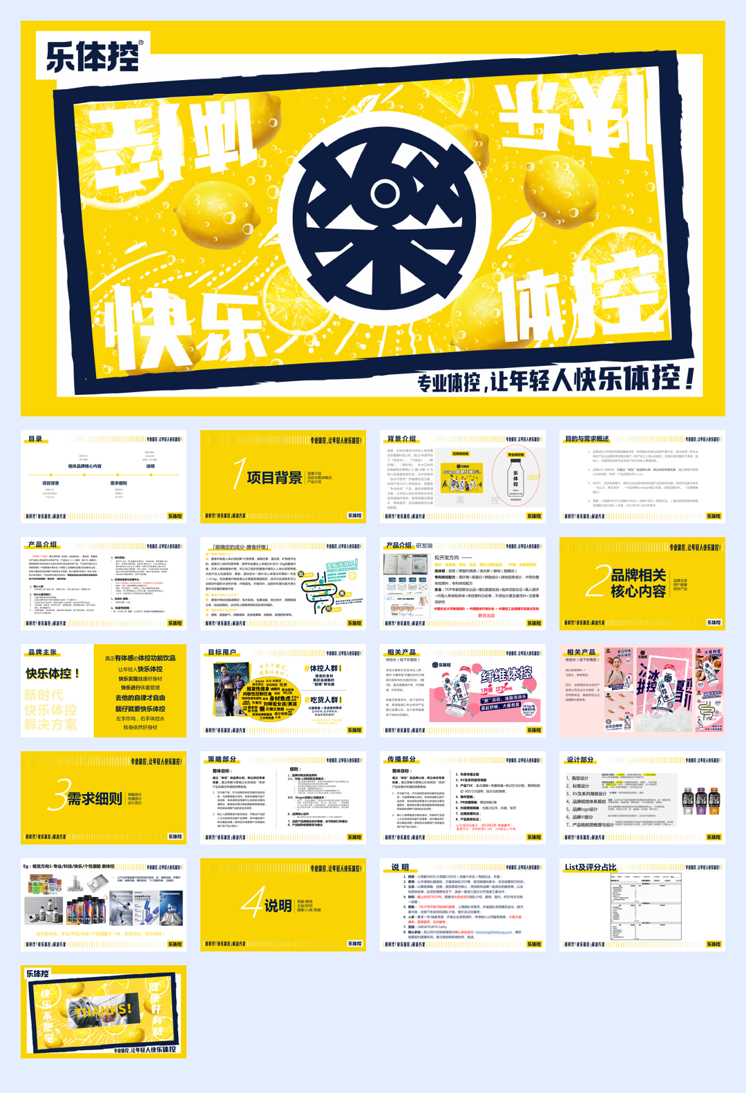 乐体控-体控产品全案brief.pdf