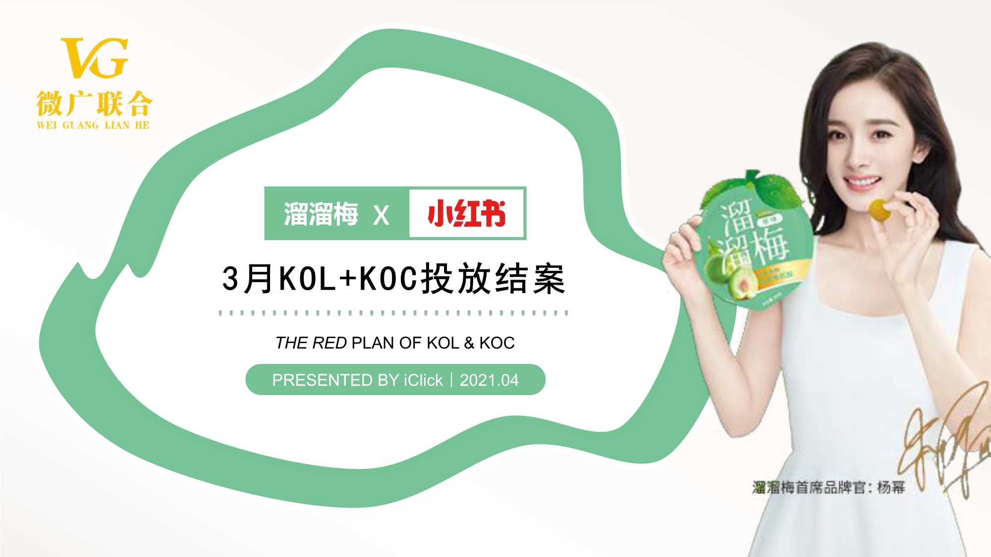 溜溜梅小红书KOL+KOC投放总结.pdf