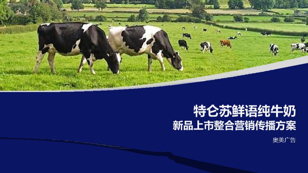 蒙牛特仑苏鲜语纯牛奶新品牌上市整合营销传播方案.pptx