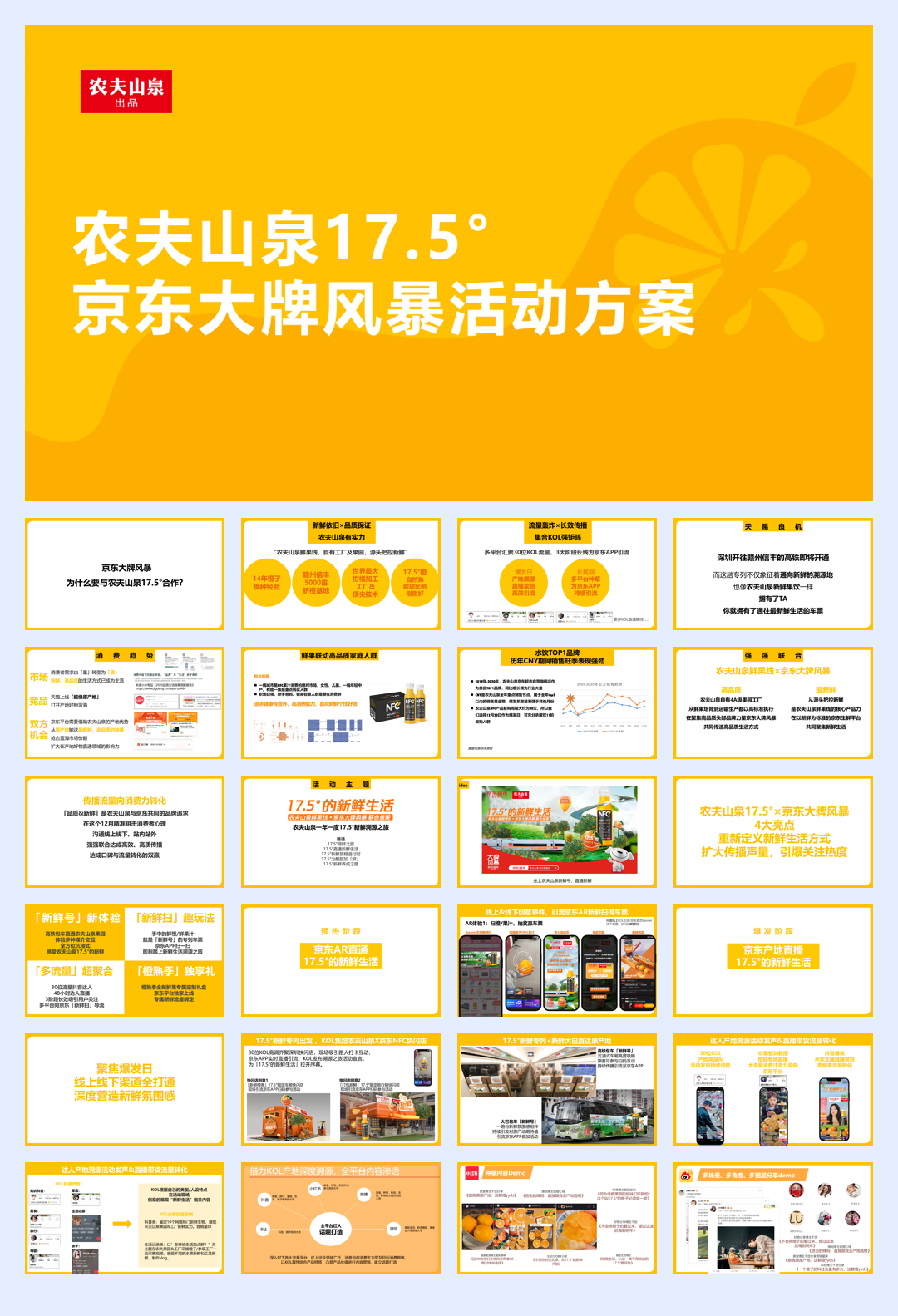 农夫山泉17.5°京东大牌风暴.pdf