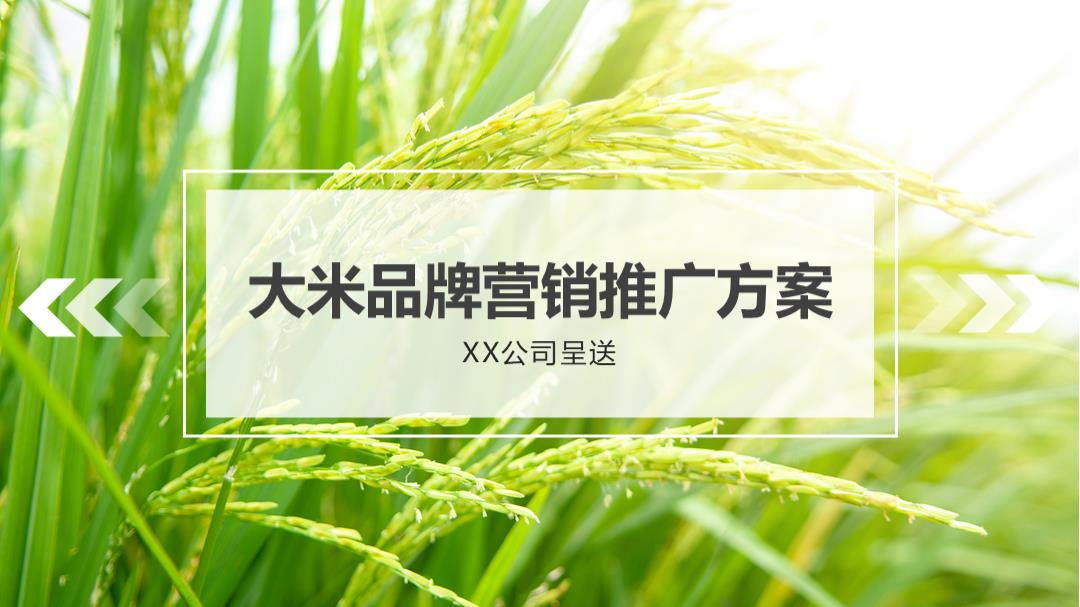 农业区域公用品牌大米品牌营销推广方案.pptx