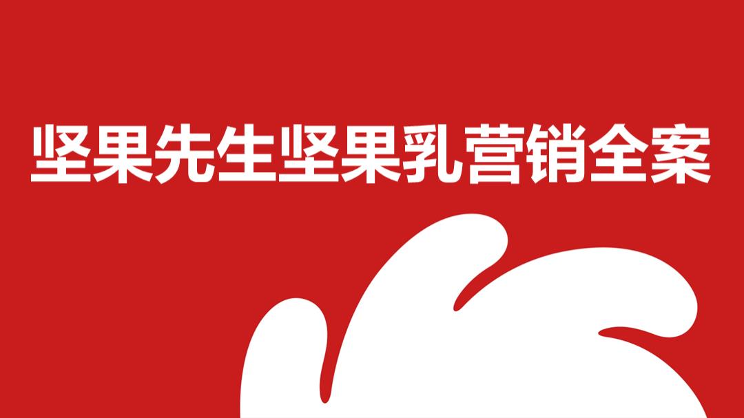 洽洽坚果先生营销全案.pptx