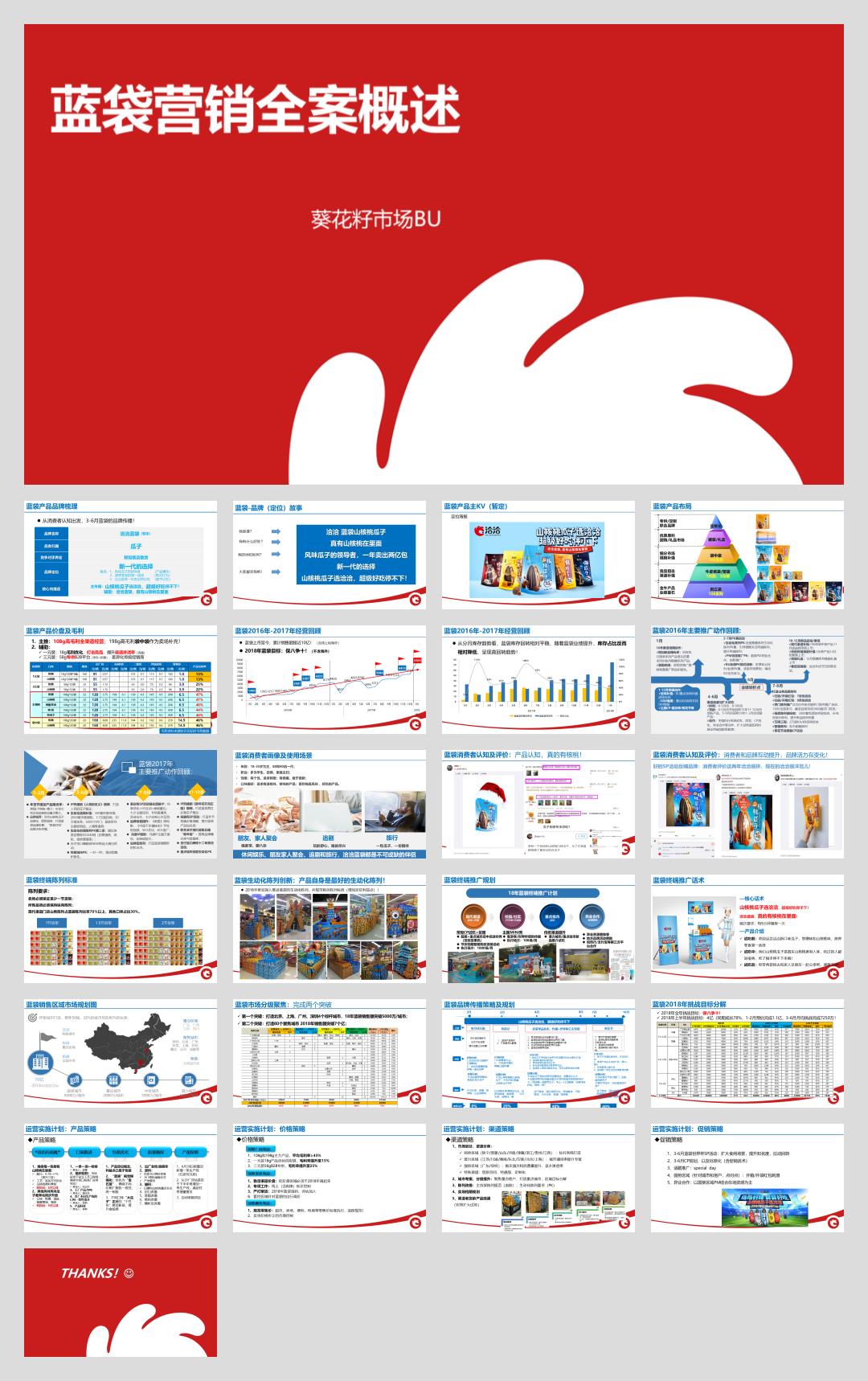 洽洽蓝袋营销全案.pptx