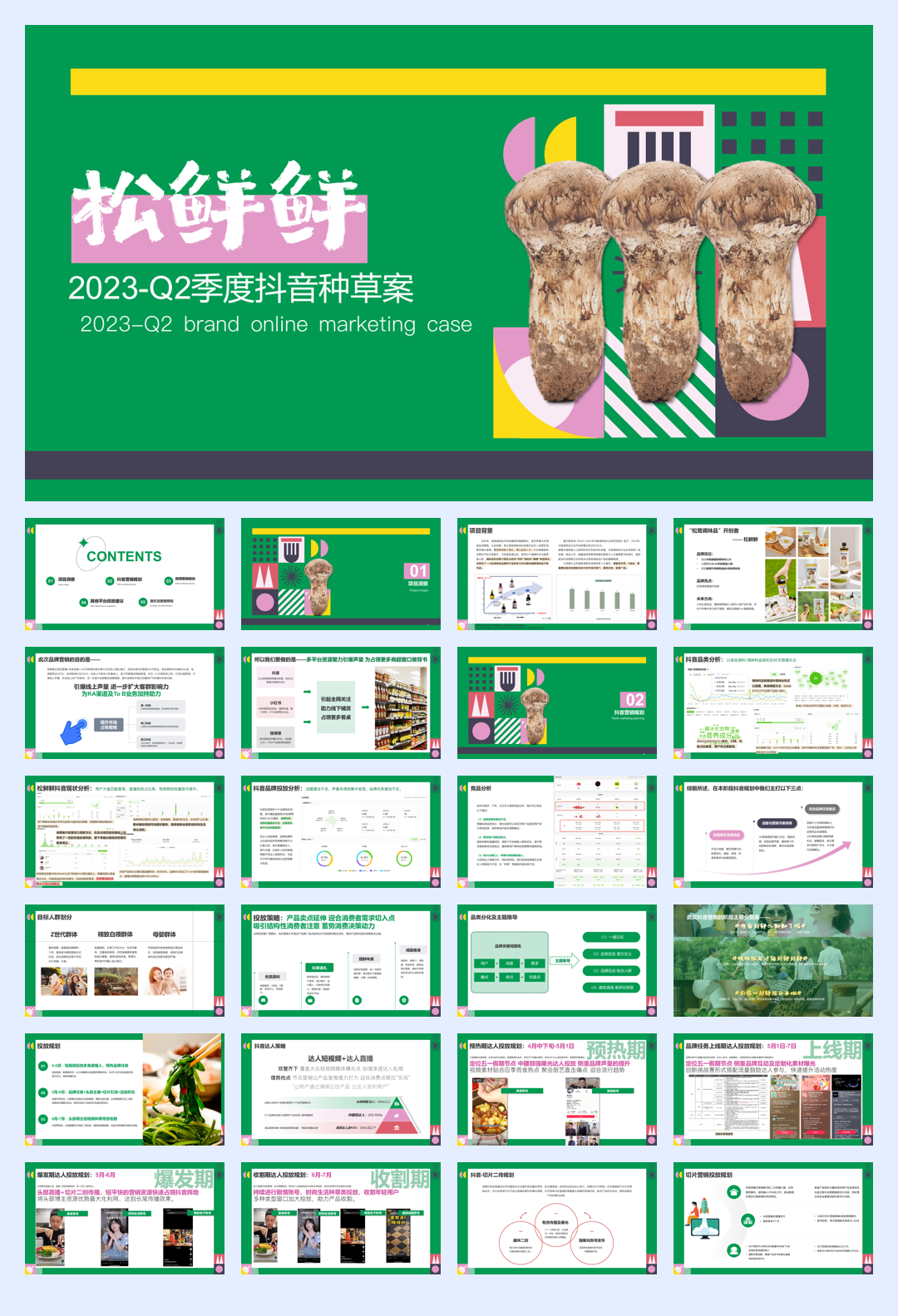 松鲜鲜2023年度第二季度抖音种草方案.pdf