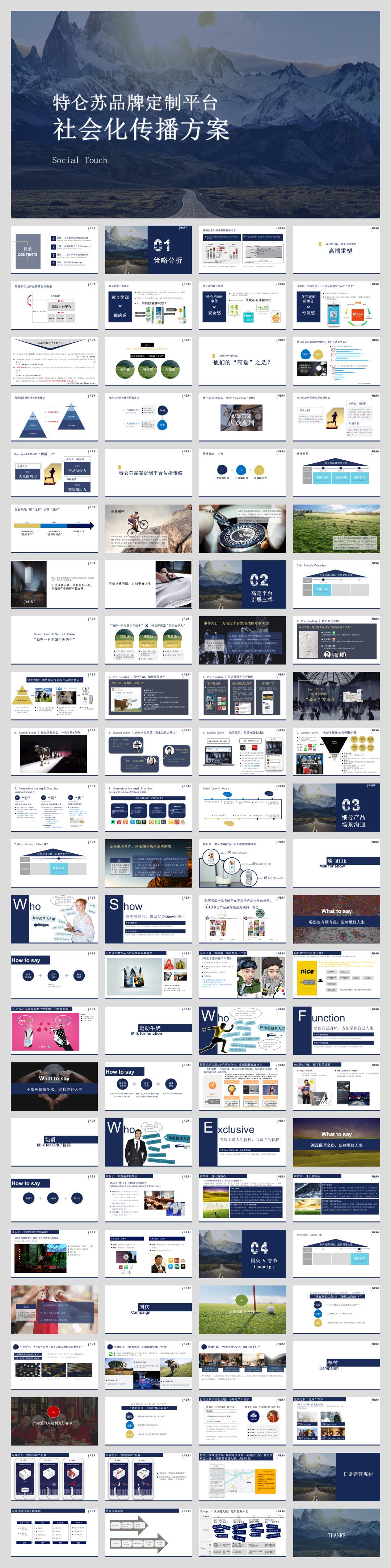 特仑苏品牌定制平台传播.pptx