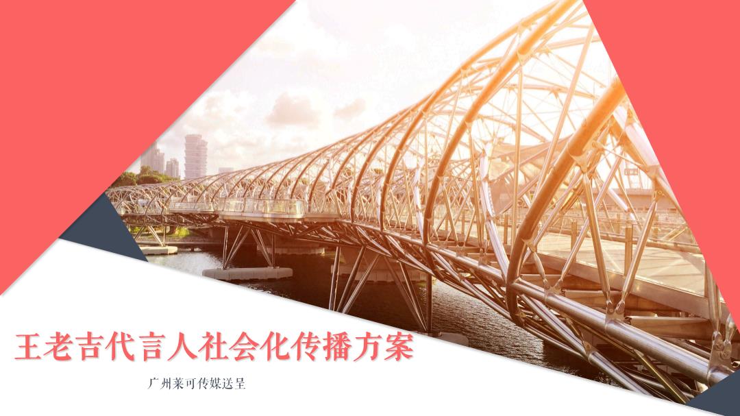 王老吉代言人社会化传播案.pptx