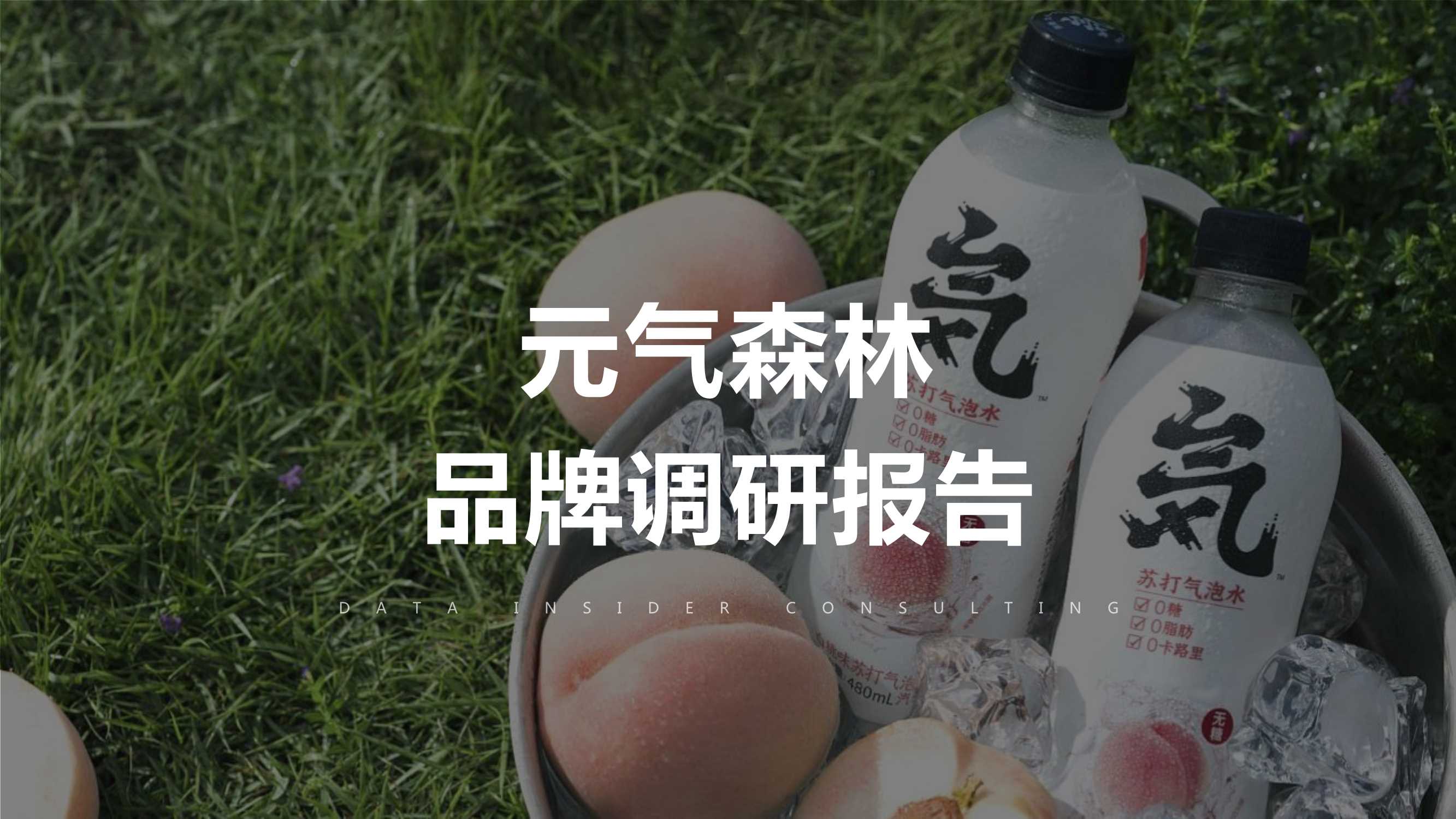 元气森林品牌调研报告.pdf