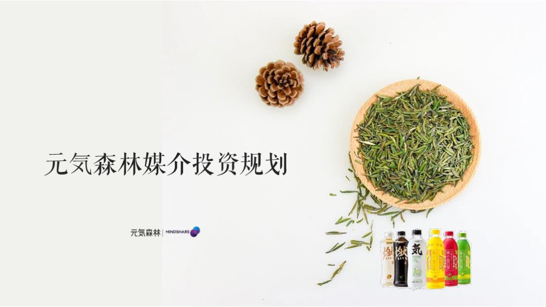 元气森林森林媒介投资规划食品饮料 社交媒体传播 种草带货.pptx