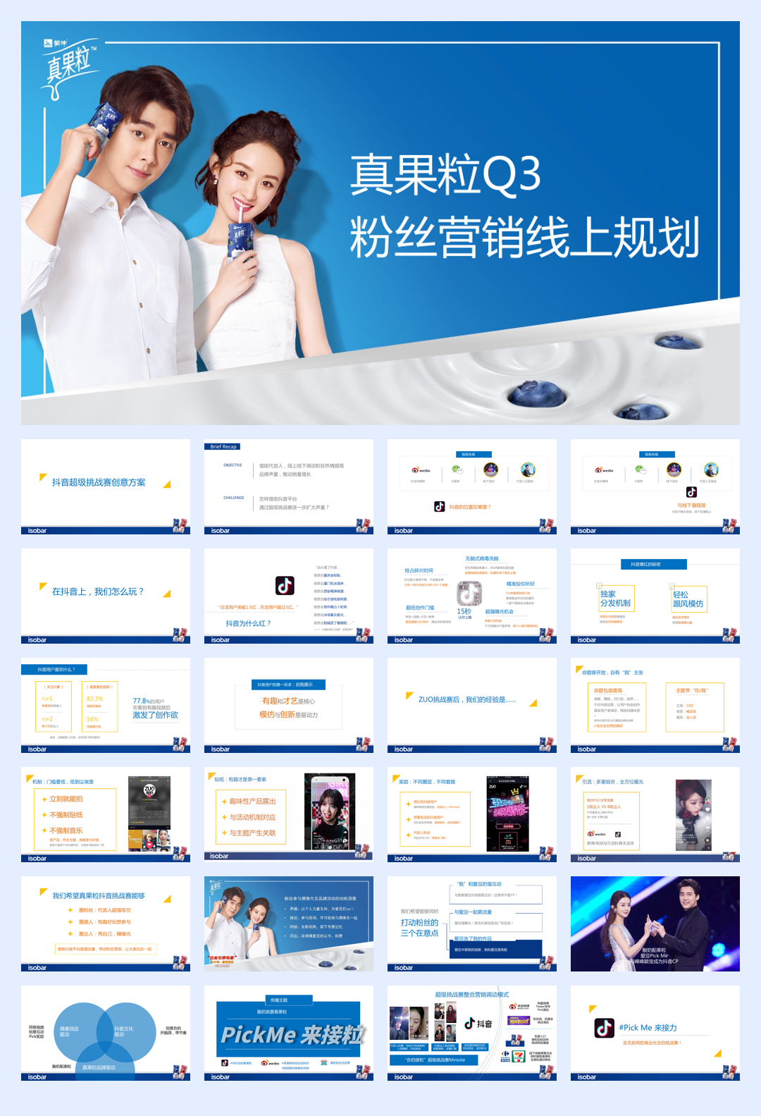 真果粒粉丝营销规划.pdf