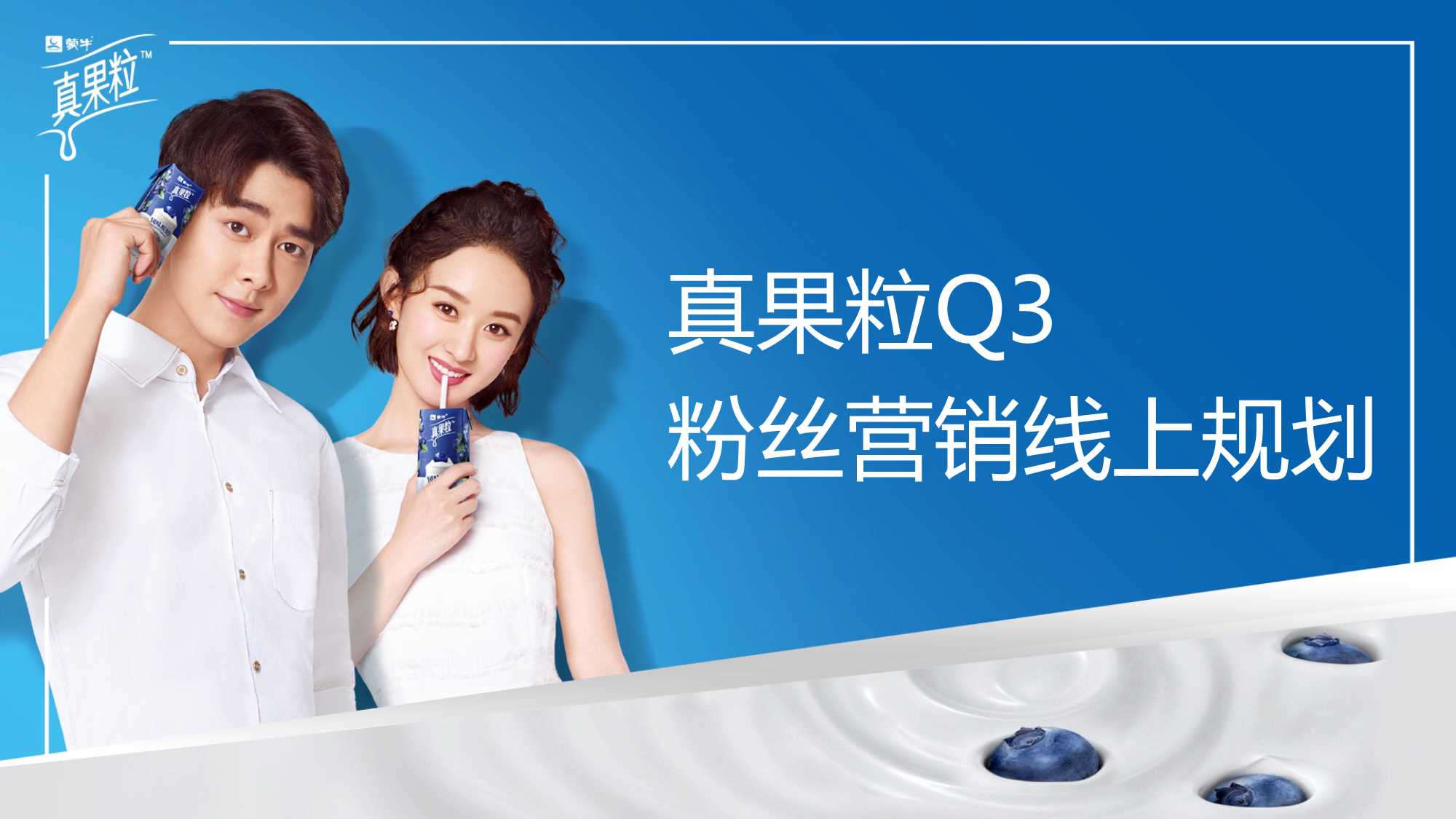 真果粒粉丝营销规划.pdf