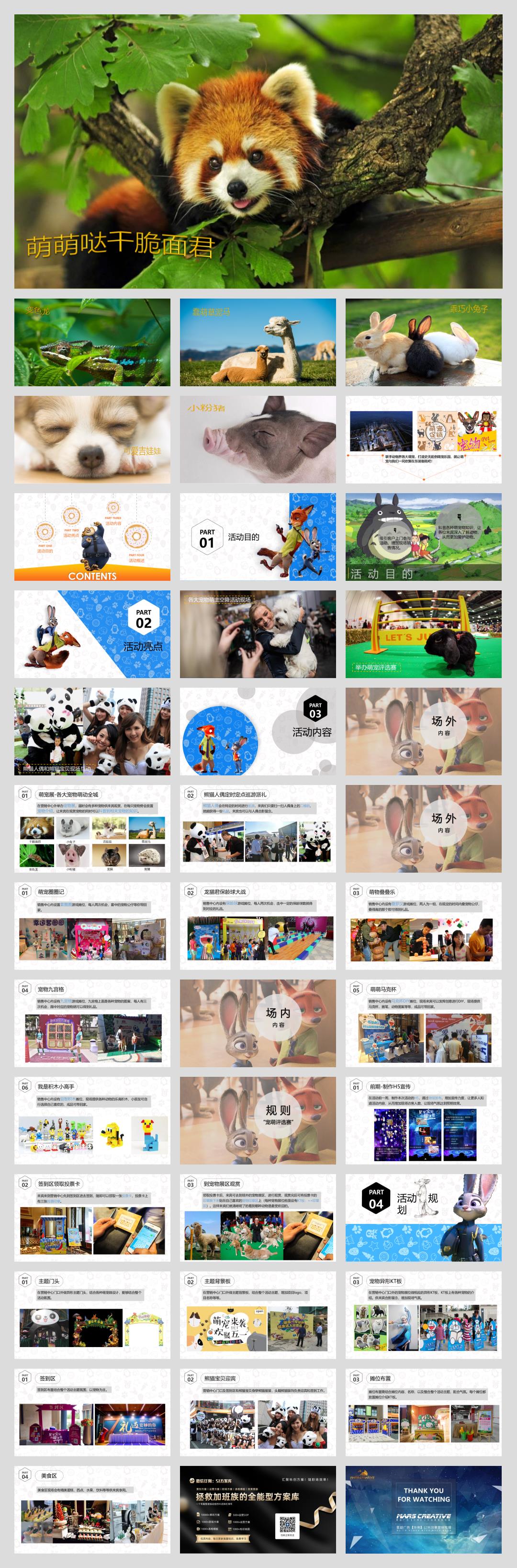2019-萌宠来袭·欢聚五一韶关保利大都会萌宠主题策划案-39页.pptx