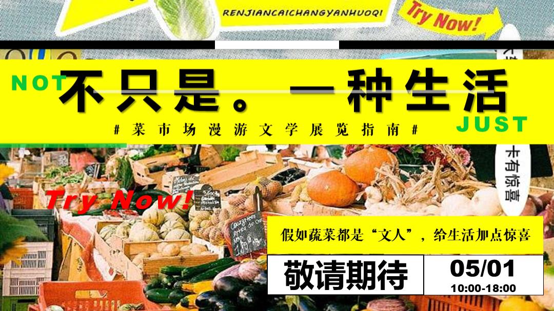 五一菜市场漫游文学展览指南主题活动策划案.pptx