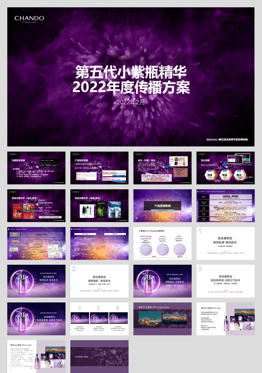 2022自然堂小紫瓶年度传播方案.pptx