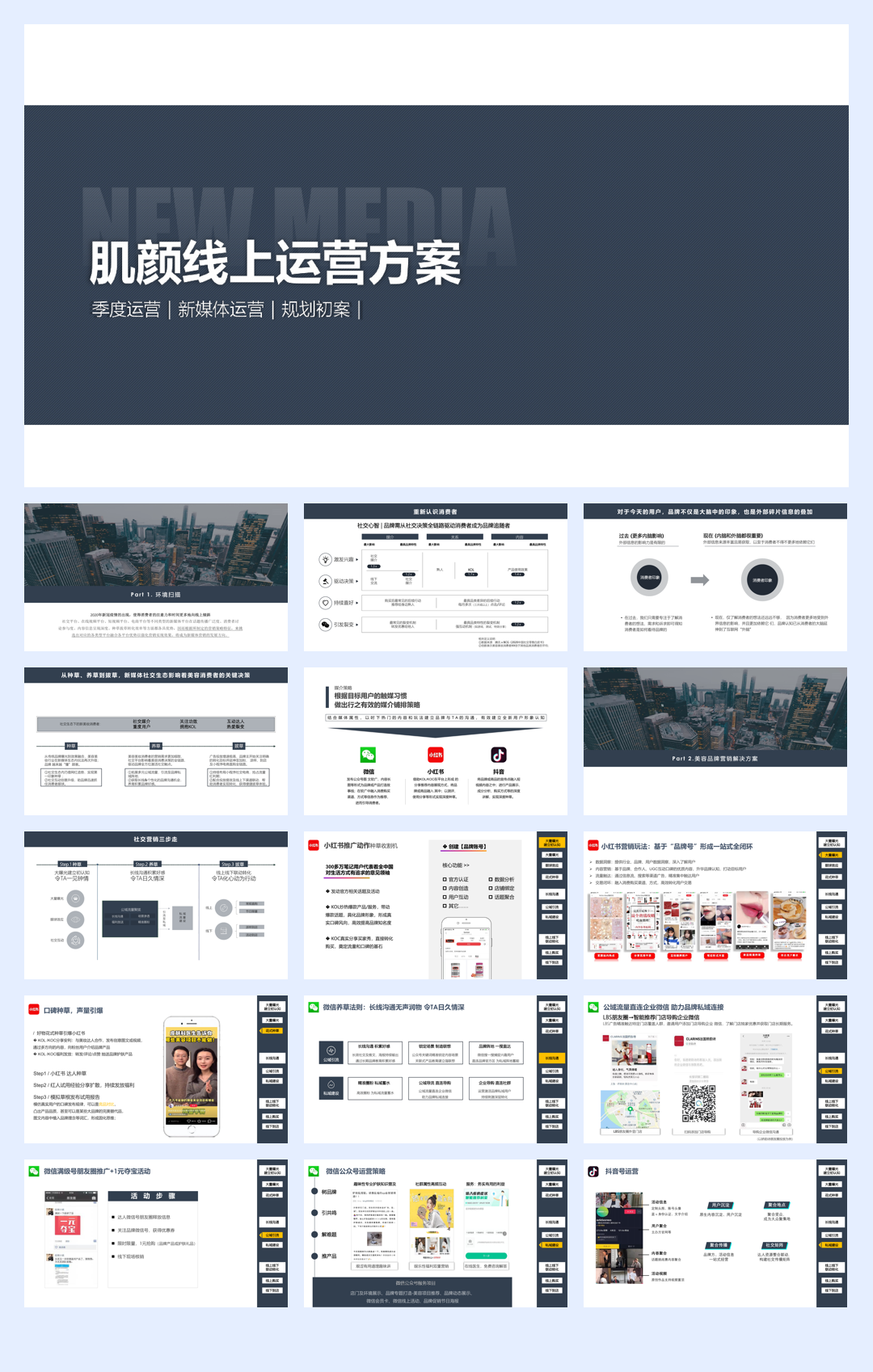 美妆-颜肌品牌运营方案.pdf