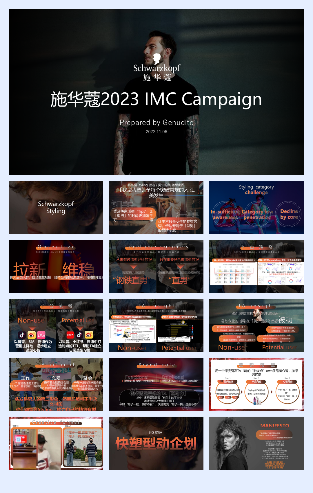 施华蔻Styling年度方案.pdf