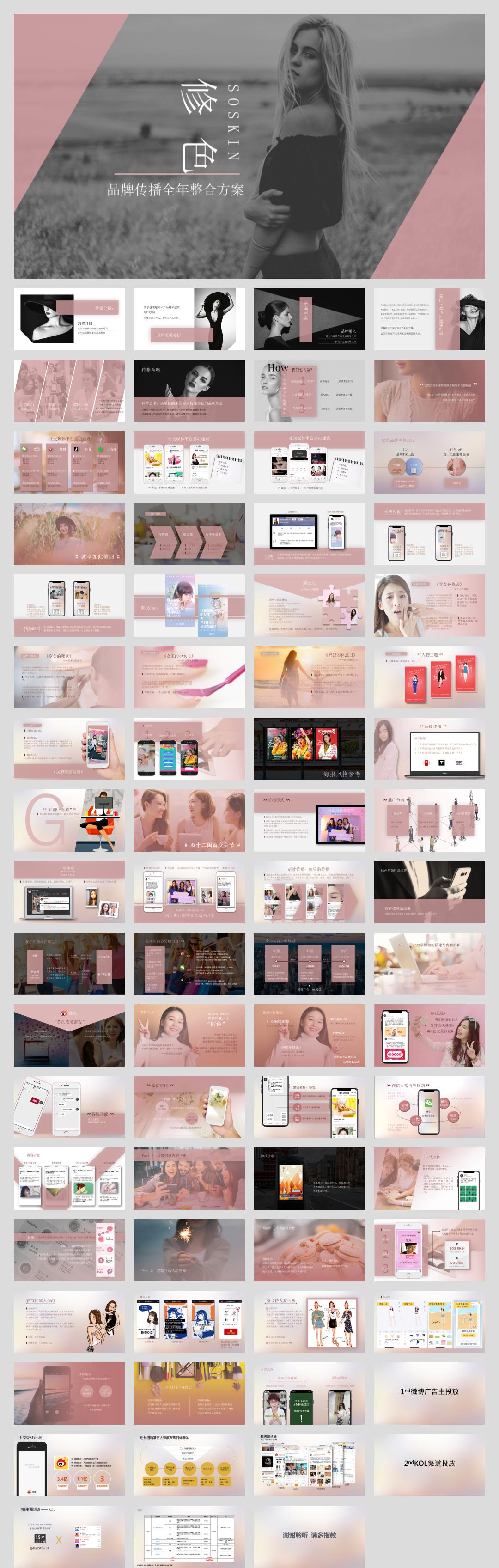 修色品牌传播全年整合方案.pptx