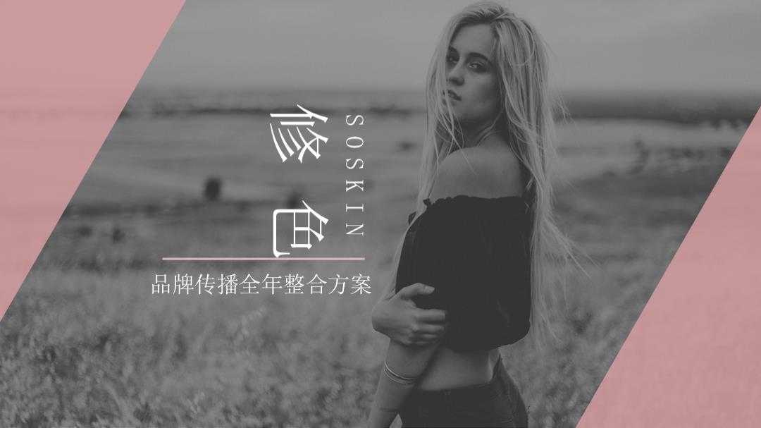 修色品牌传播全年整合方案.pptx