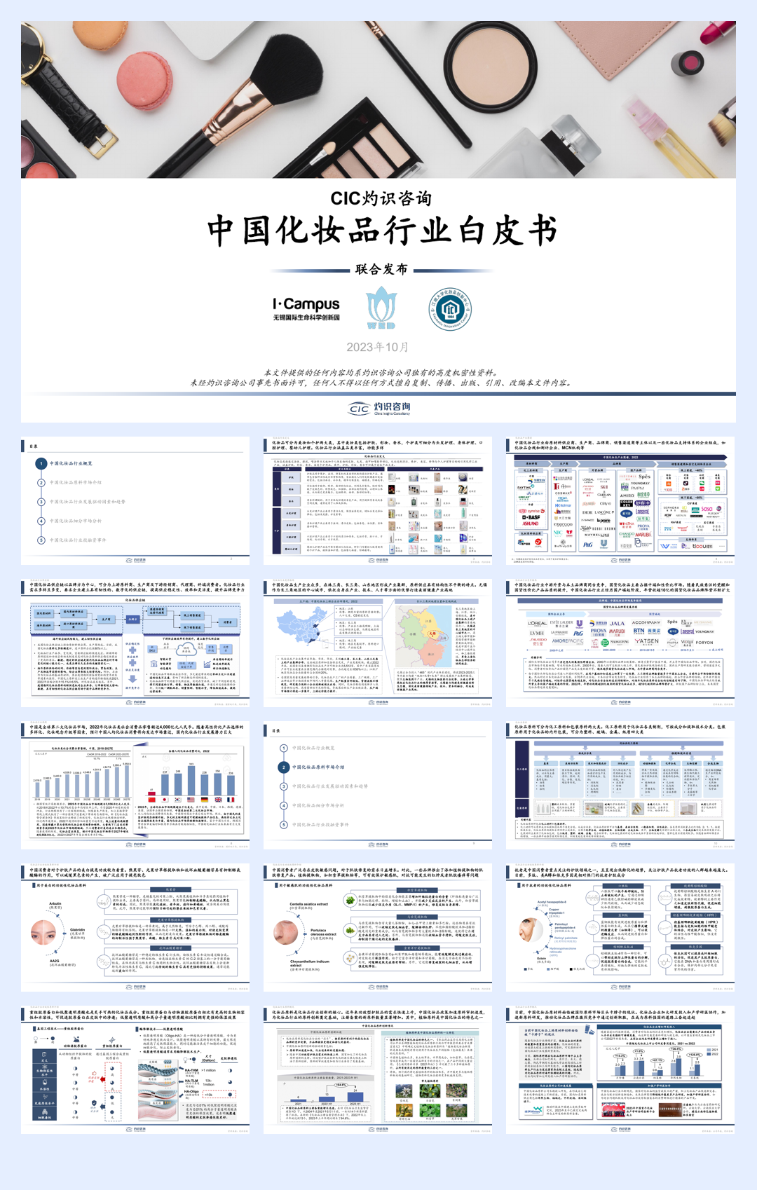 灼识咨询:2023中国化妆品行业白皮书 (1).pdf