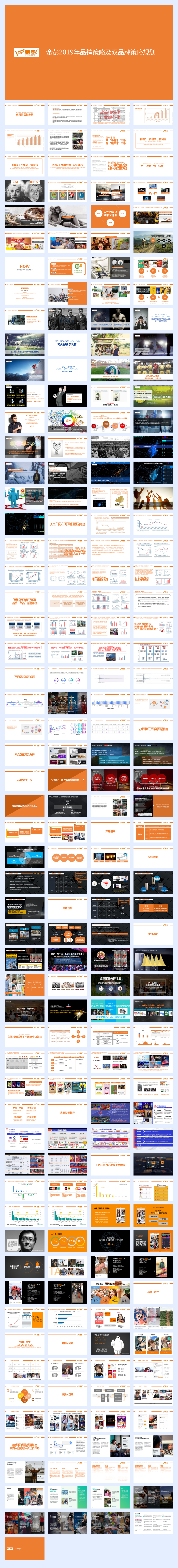 金彭品销策略及双品牌策略规划.pdf
