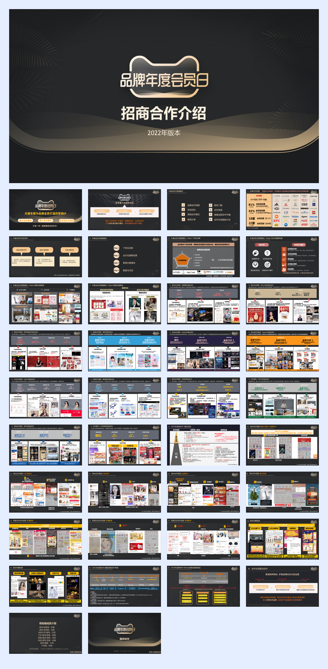 招商方案】天猫 品牌年度会员日IP介绍.pdf