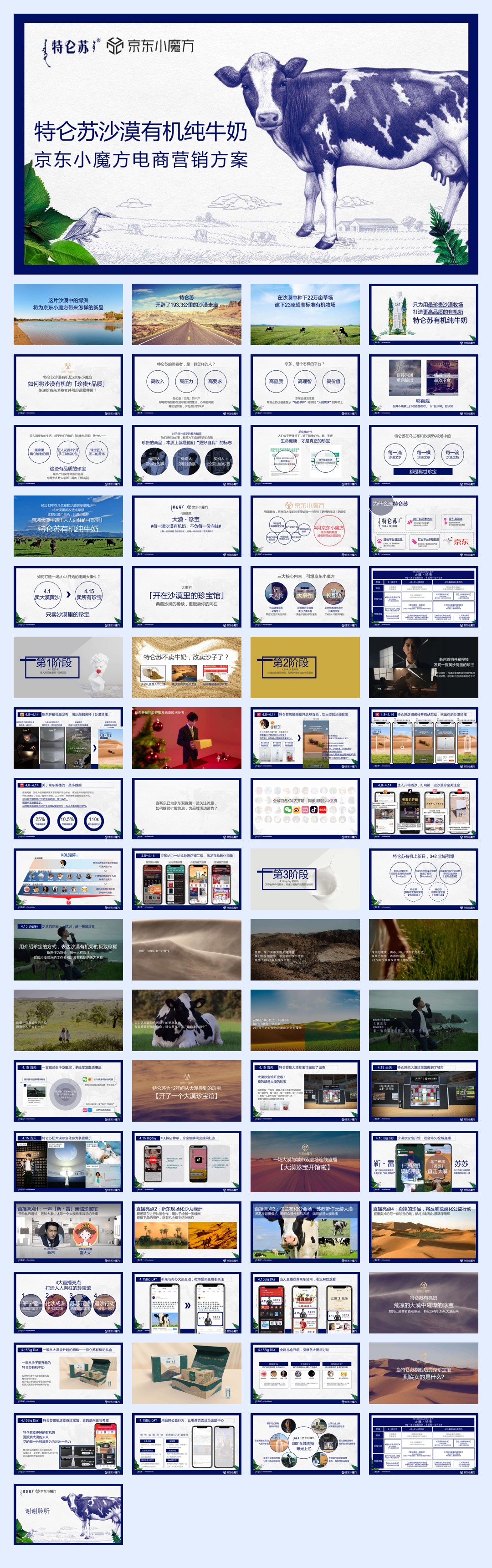 2021特仑苏 X 京东小魔方沙漠有机奶上市方案.pdf