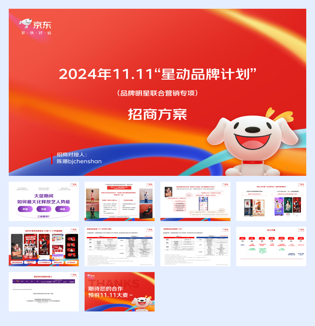 24Y11.11星动品牌计划（暨品牌明星联合营销专项）招商方案.pdf