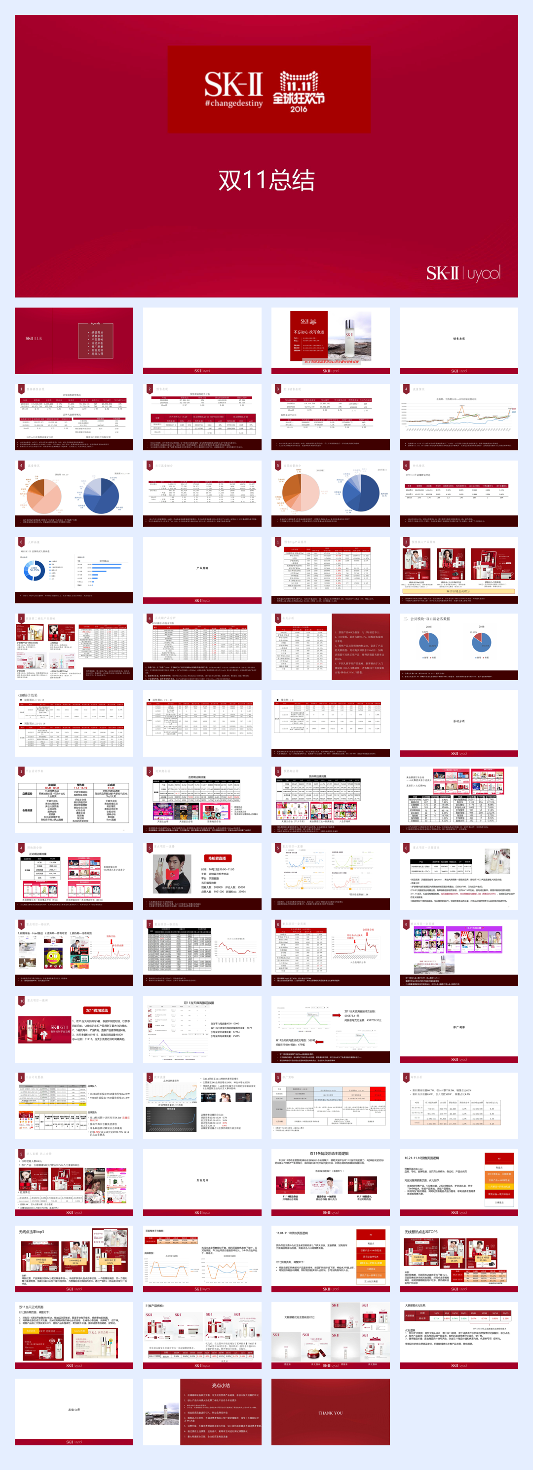 SKⅡ双11结案报告-59p.pdf