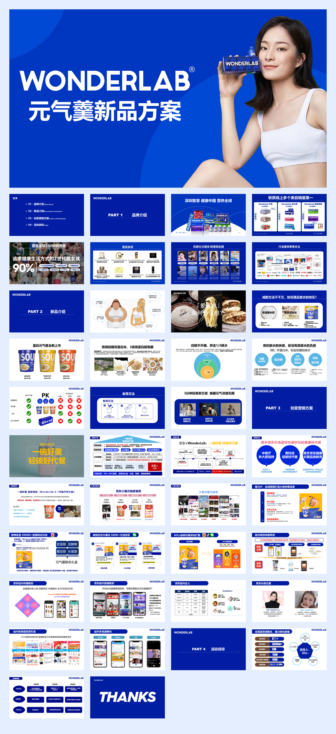 Wonderlab元气羹新品方案.pdf