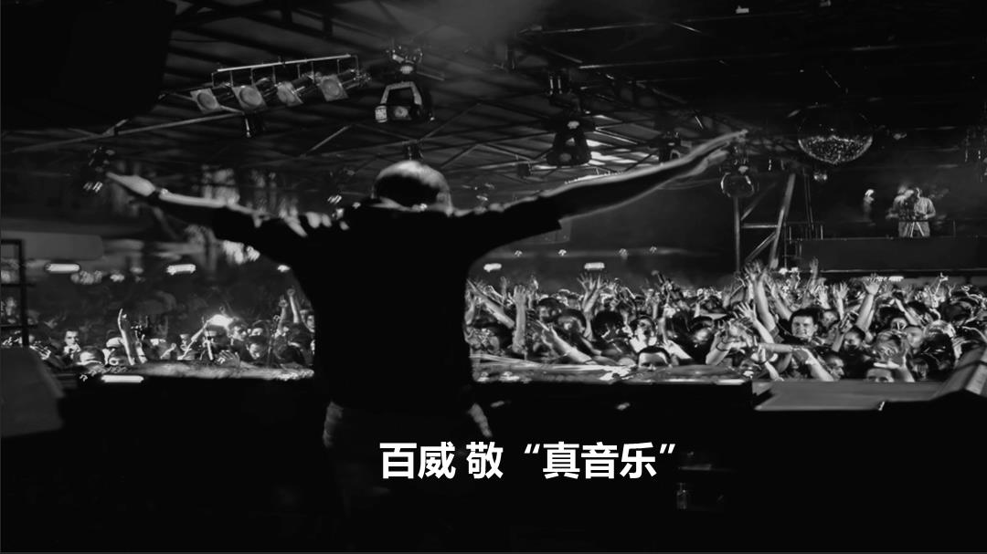 百威双十一方案.pptx