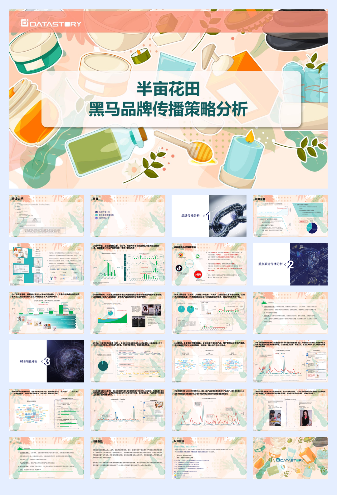半亩花田黑马品牌传播策略分析.pdf