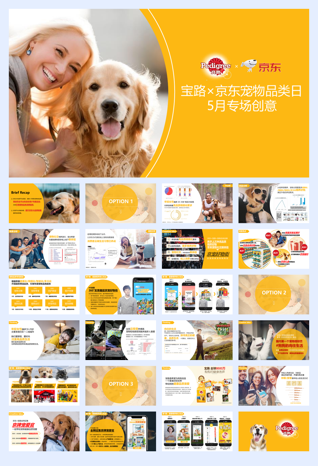 宝路×京东5月宠物品类专场创意方案.pdf