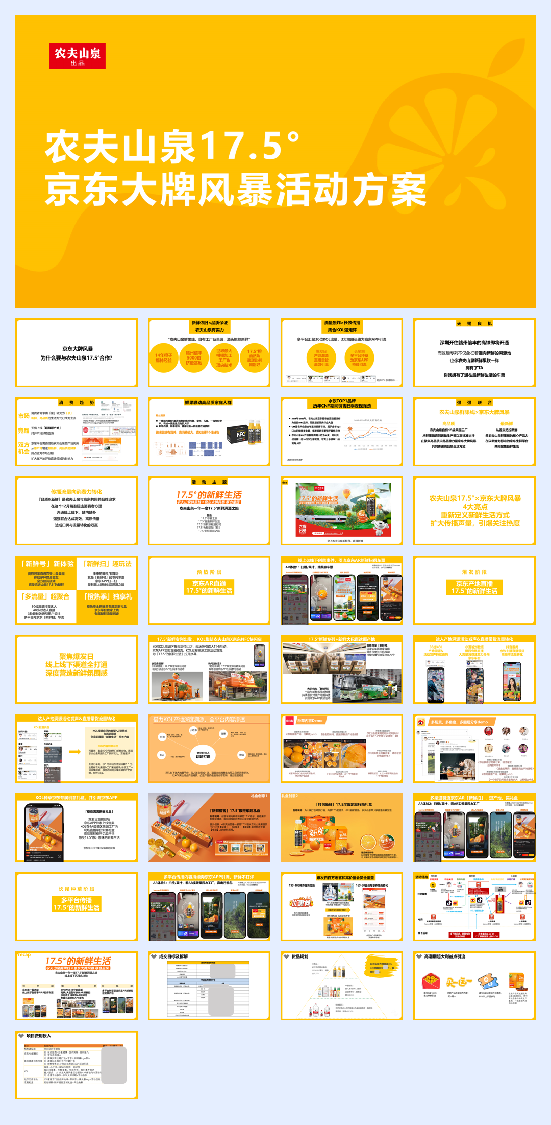 农夫山泉17.5°京东大牌风暴.pdf