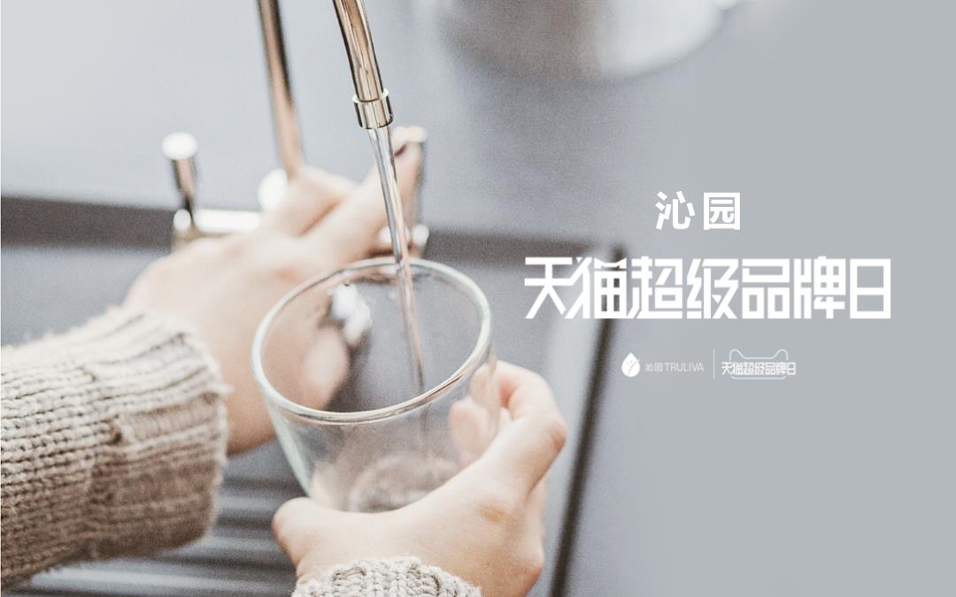 沁园天猫超级品牌日方案.pptx