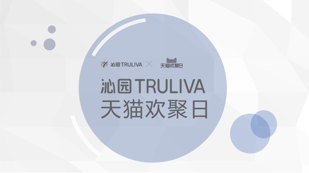 沁园天猫欢聚日.pptx