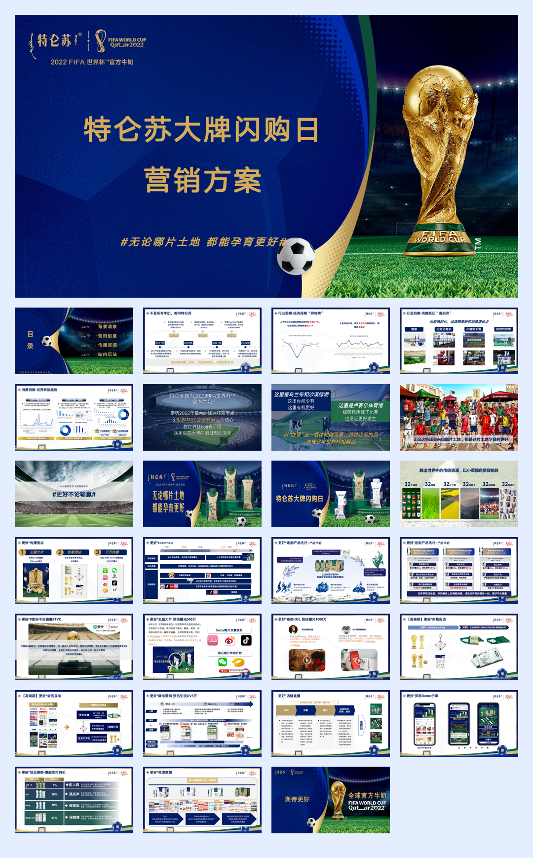 特仑苏大牌闪购日营销方案.pdf