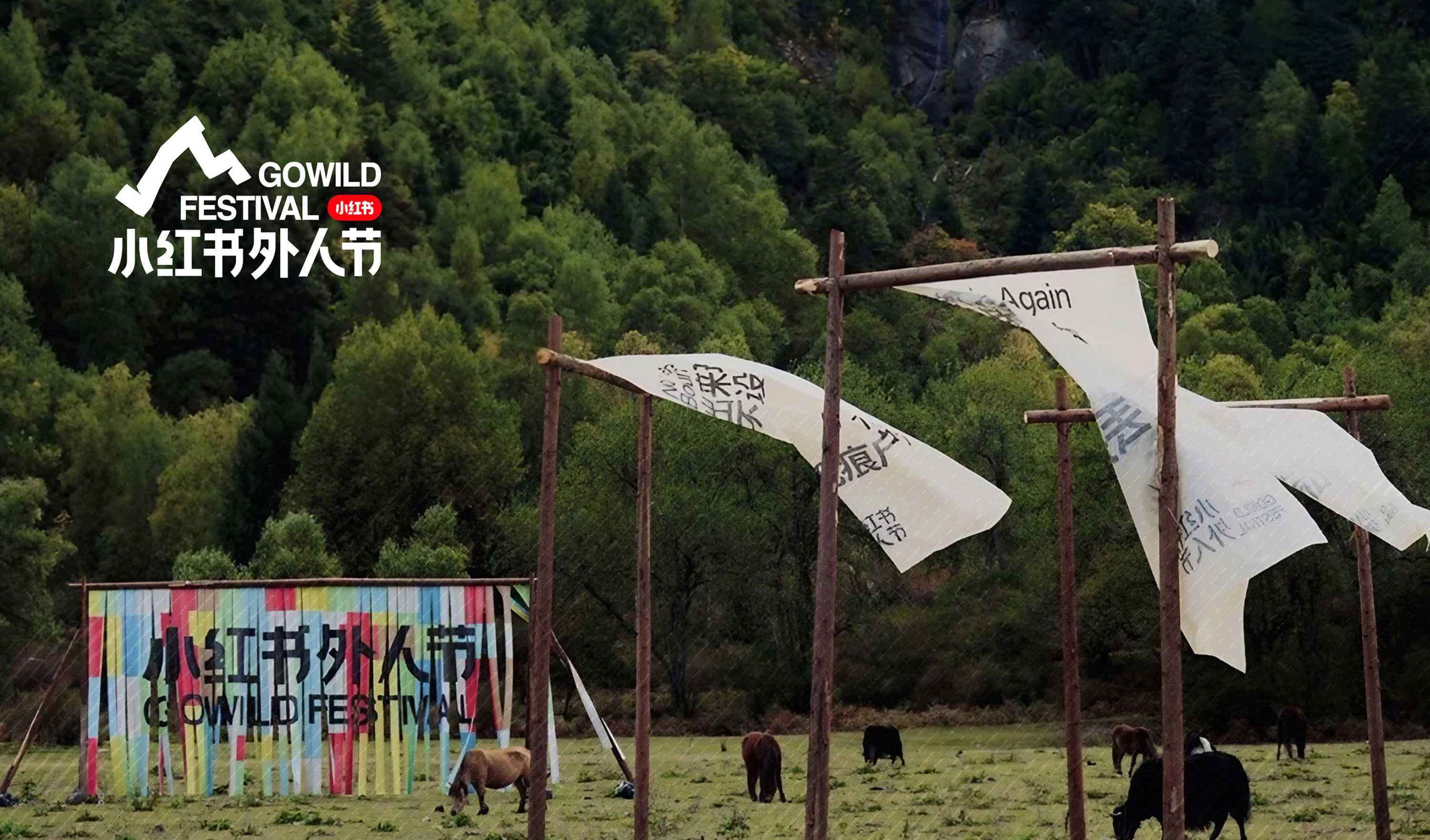 小红书外人节设计方案.pdf