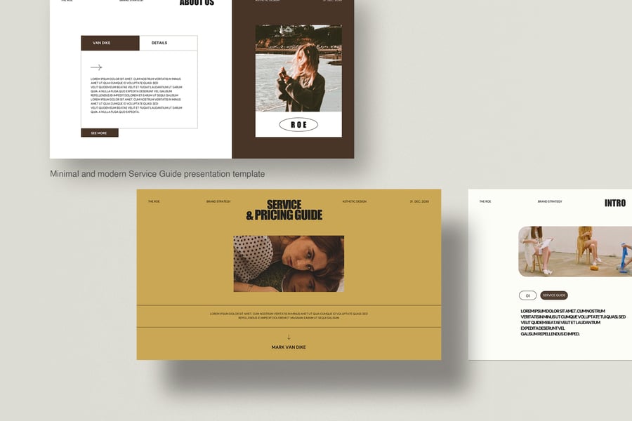 服务指南PPT模板 (PPTX)