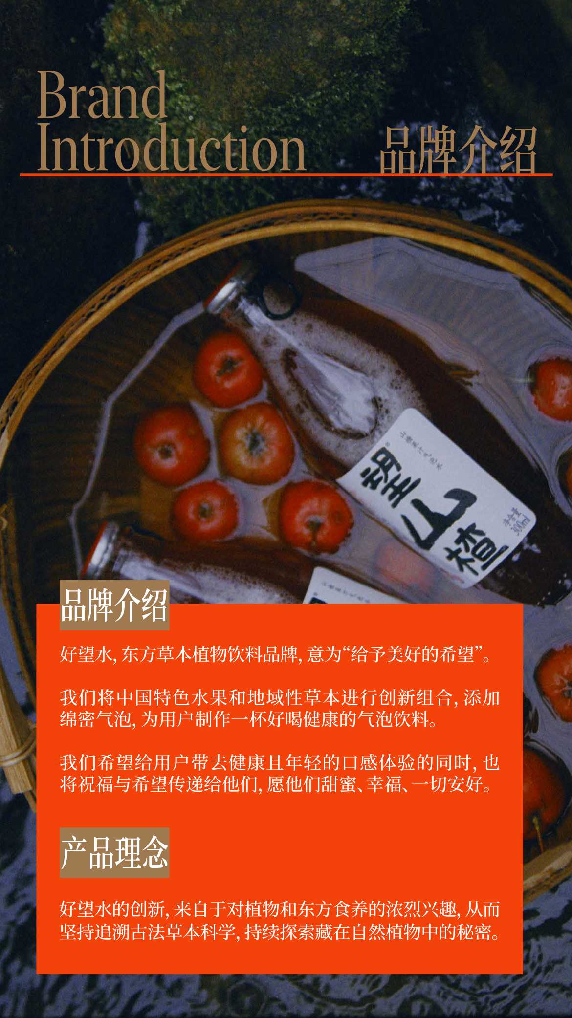 2024好望水品牌手册.pdf