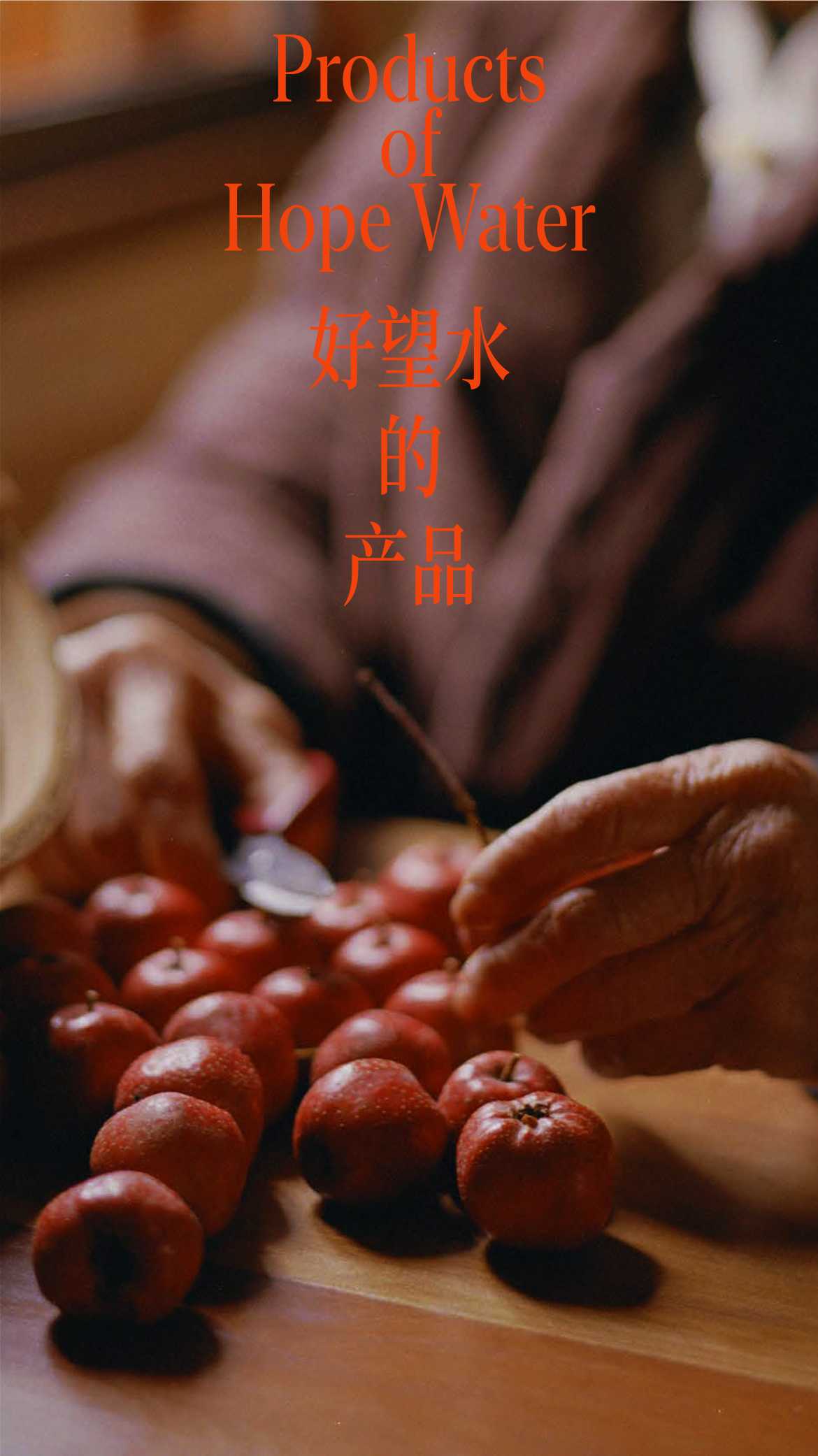 2024好望水品牌手册.pdf