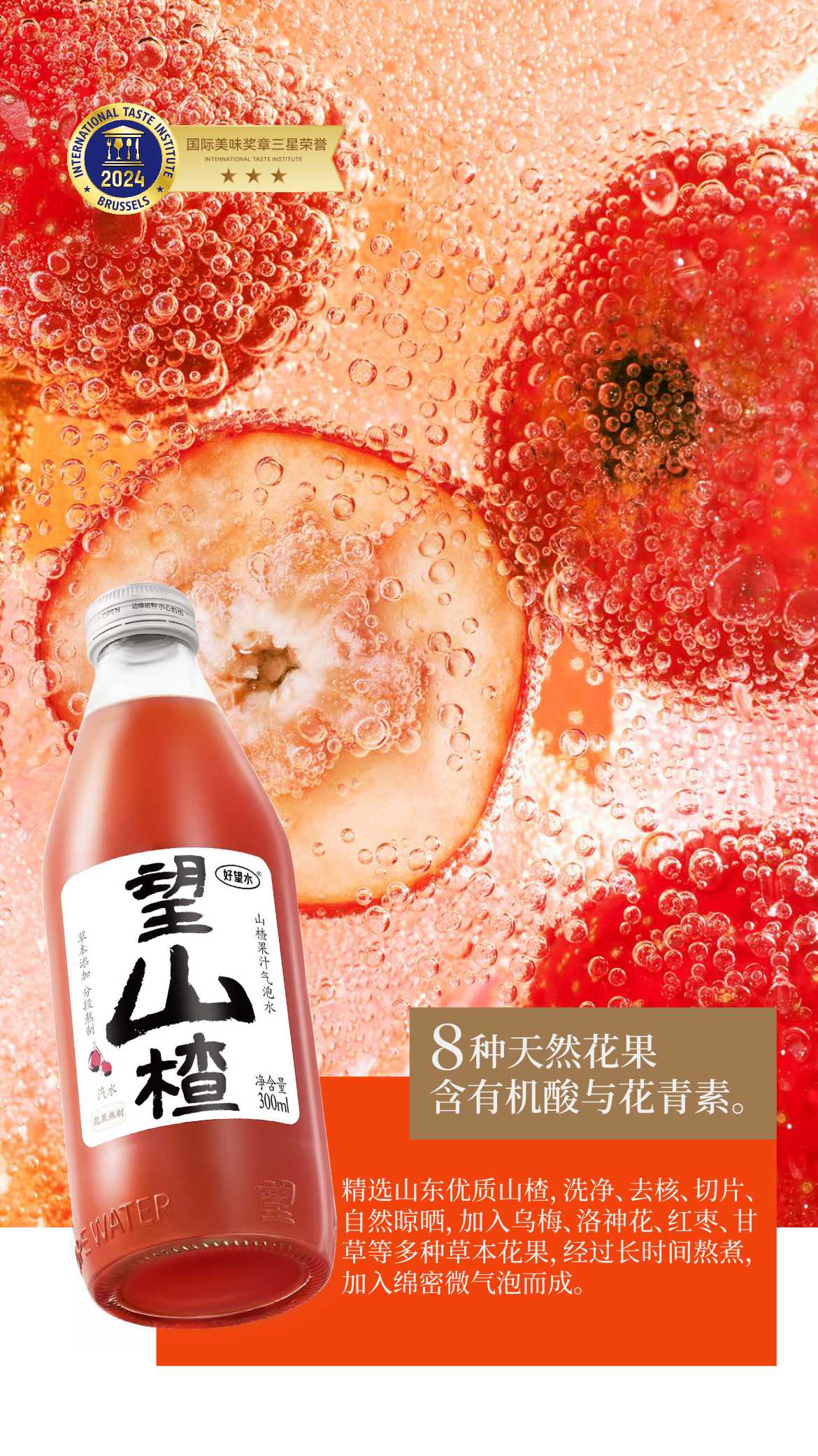 2024好望水品牌手册.pdf