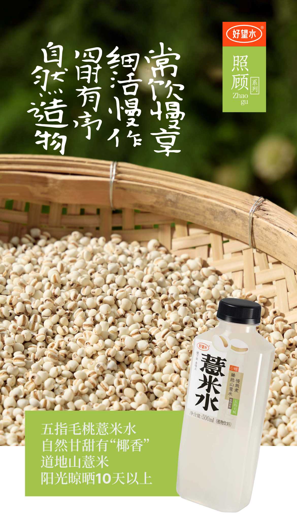 2024好望水品牌手册.pdf