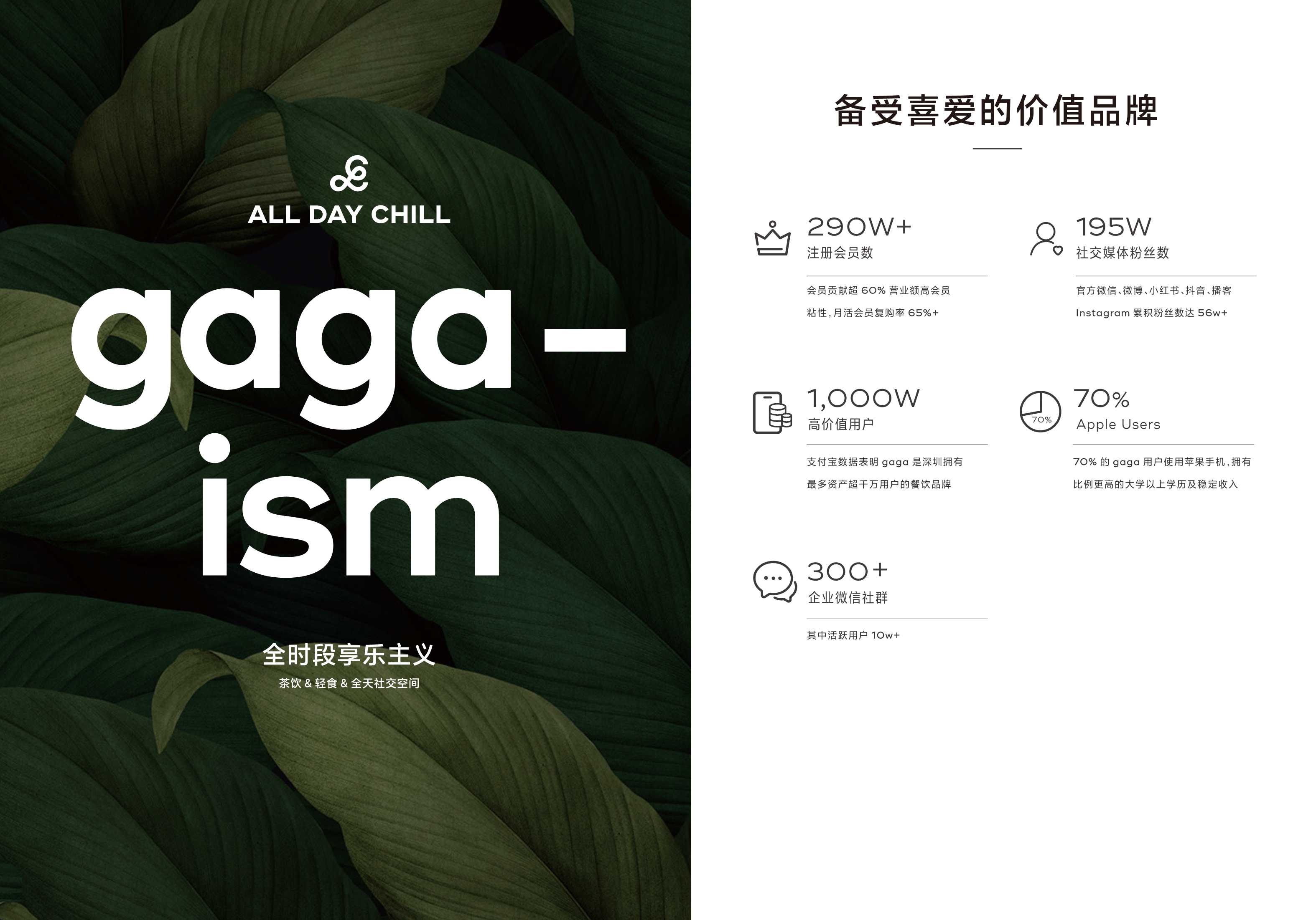 gaga鲜语品牌手册.pdf