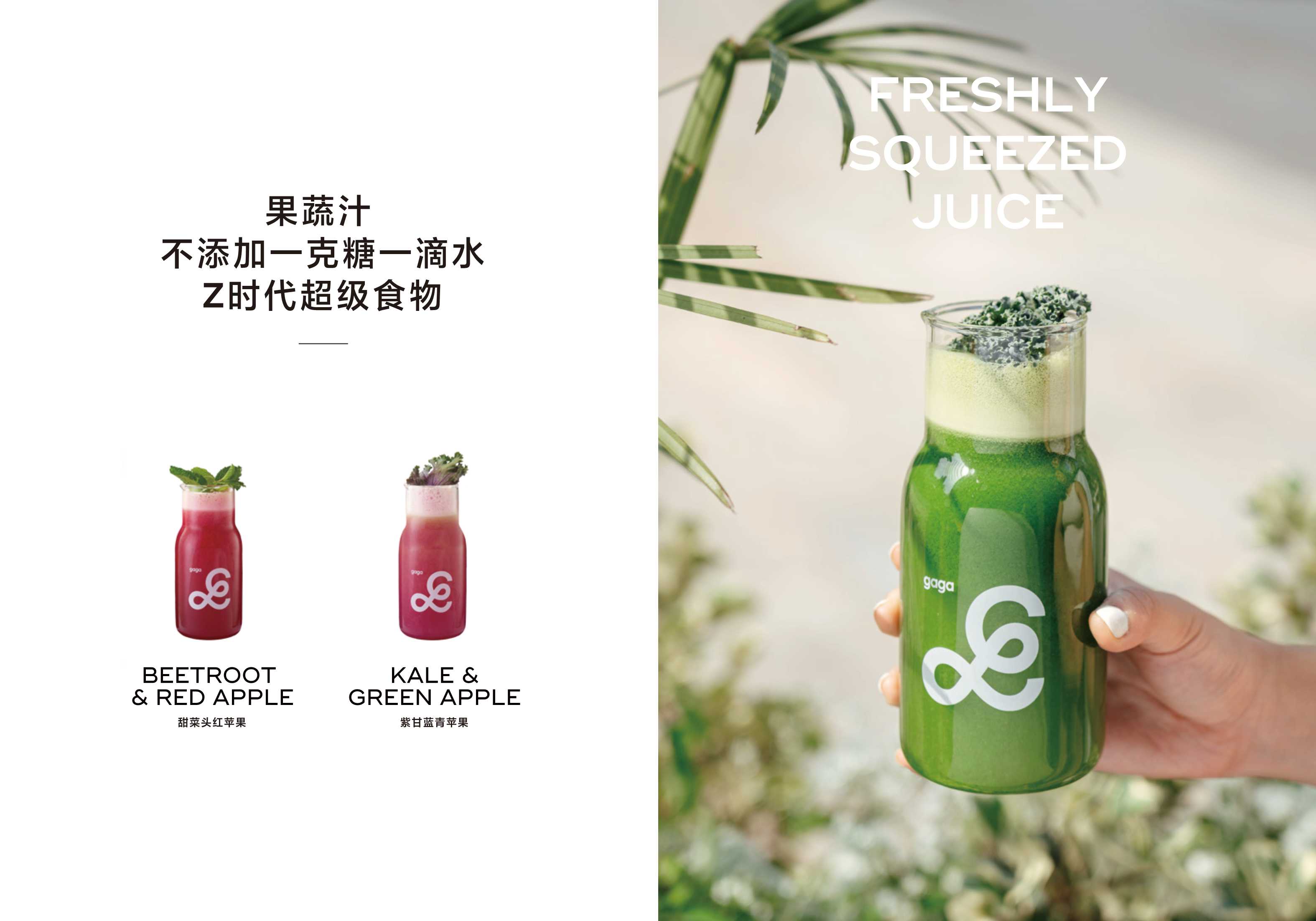 gaga鲜语品牌手册.pdf