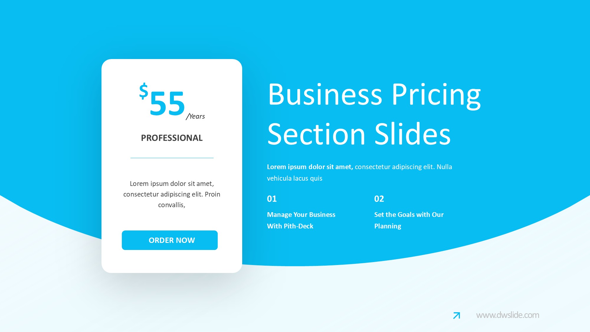 价格信息图示PPT模板