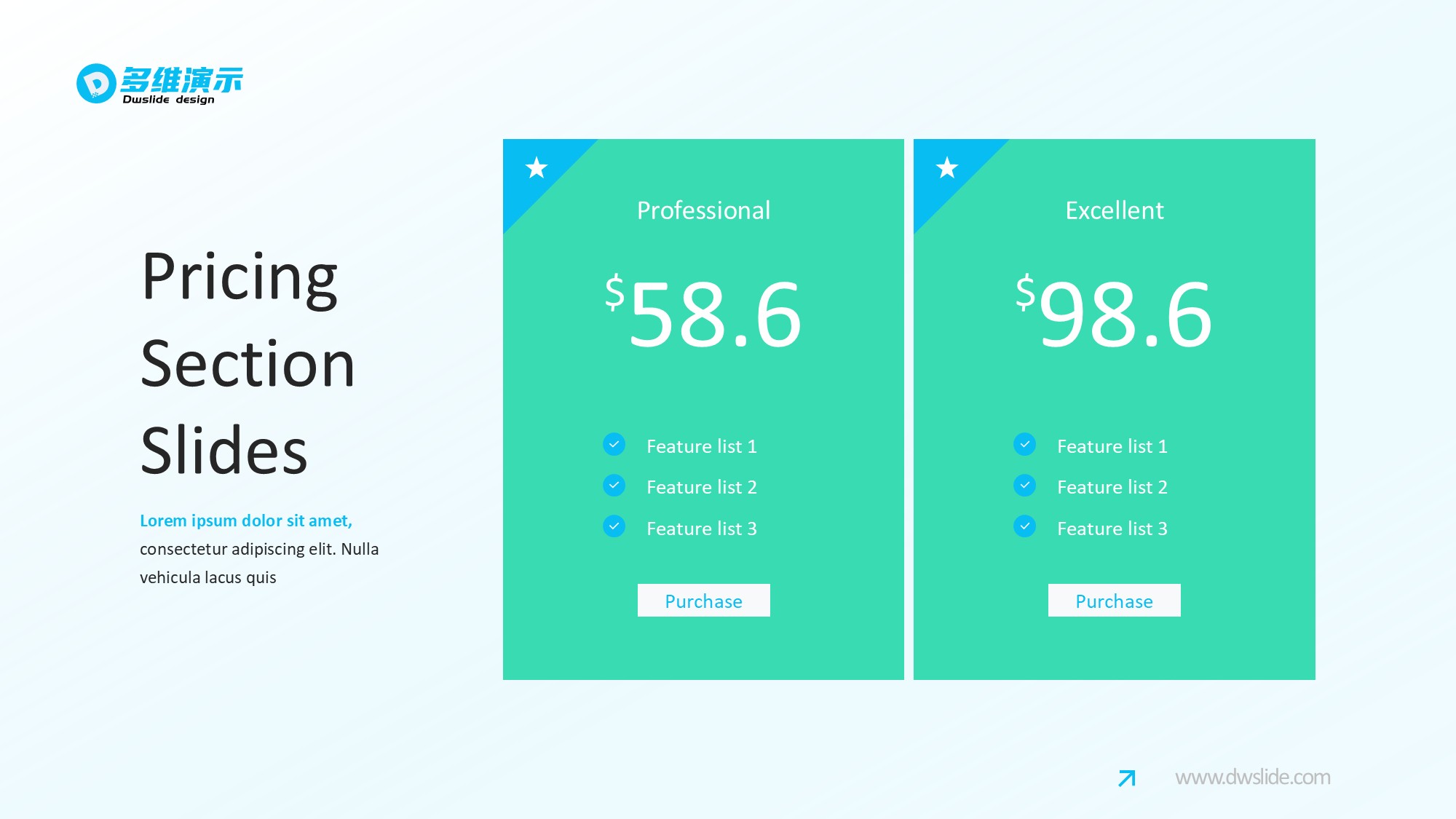 价格信息图示PPT模板