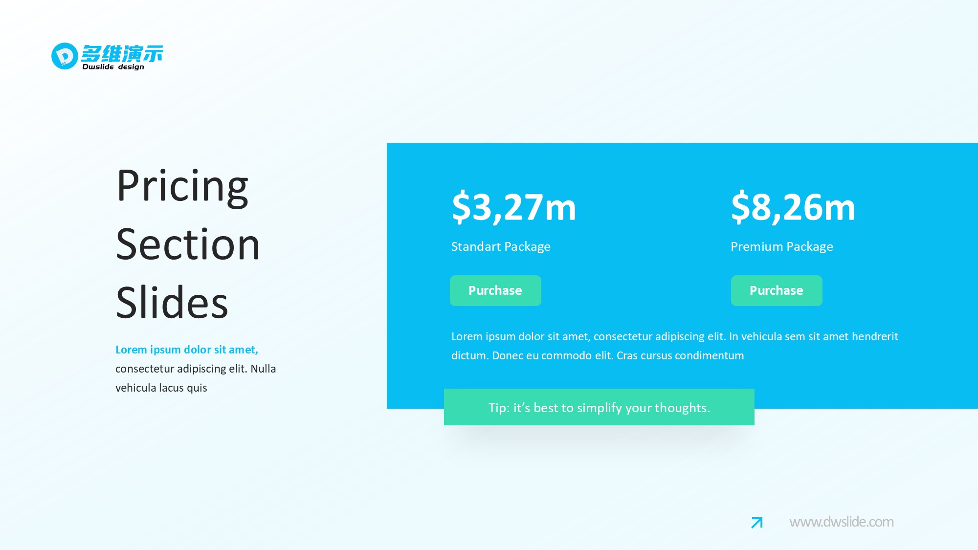 价格信息图示PPT模板