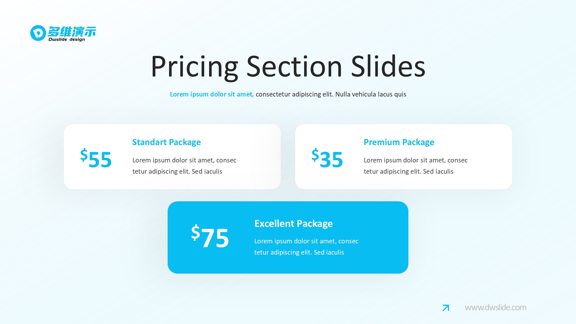 价格信息图示PPT模板