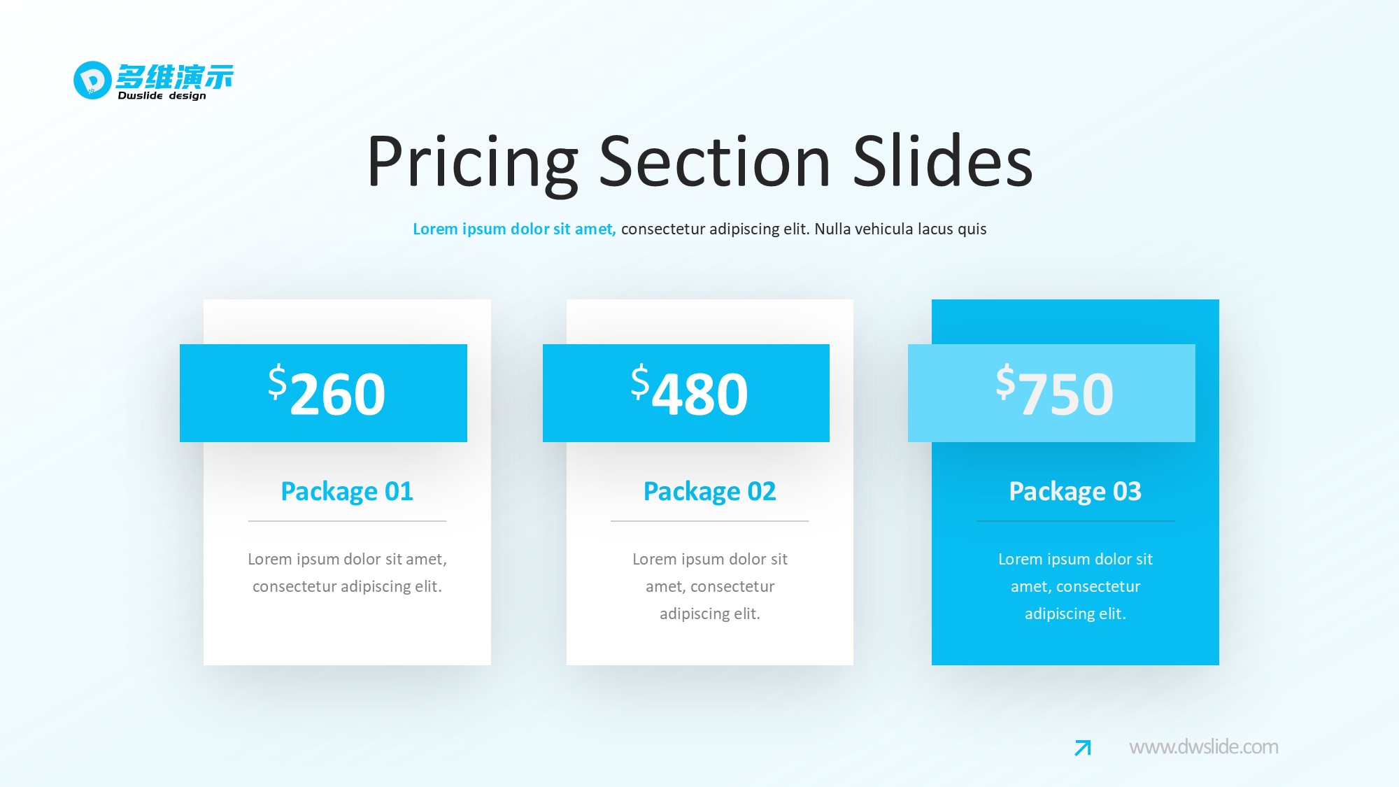 价格信息图示PPT模板