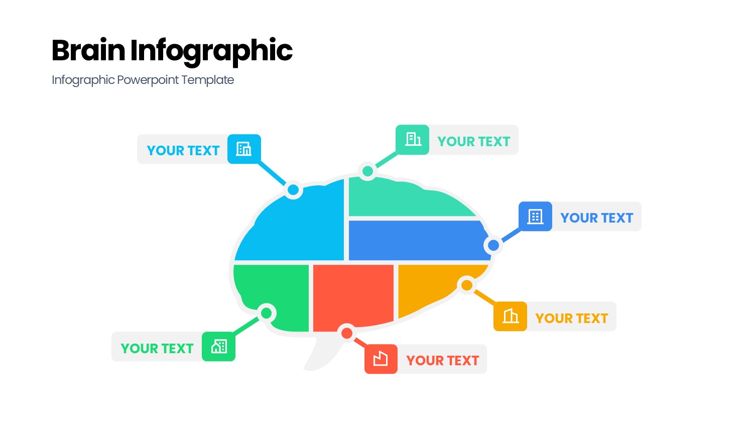 大脑信息图示PPT模板